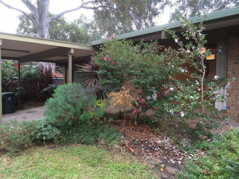 3 Dalpura Grove, Aberfoyle Park SA 5159