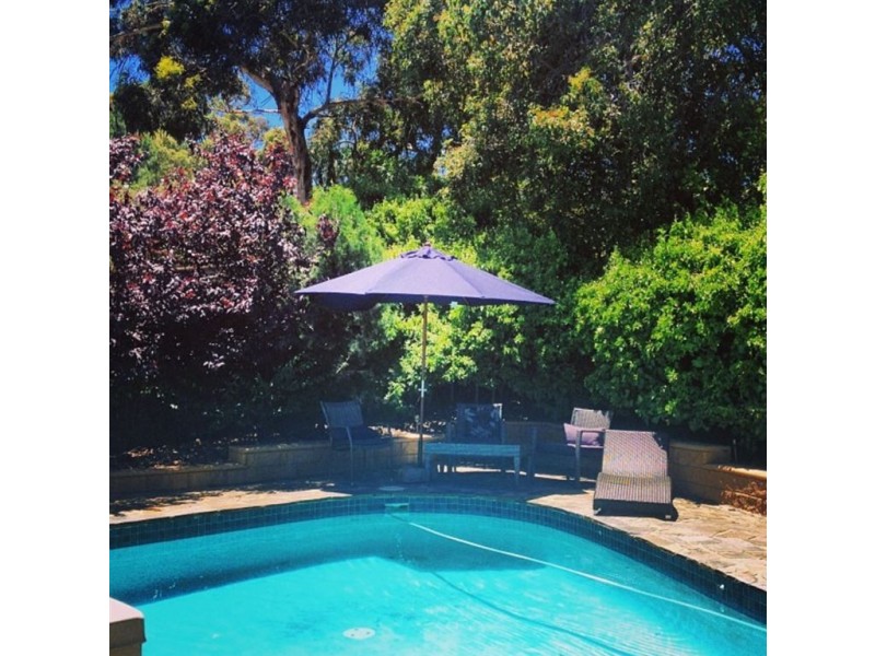 56 Ridgway Drive, Flagstaff Hill SA 5159