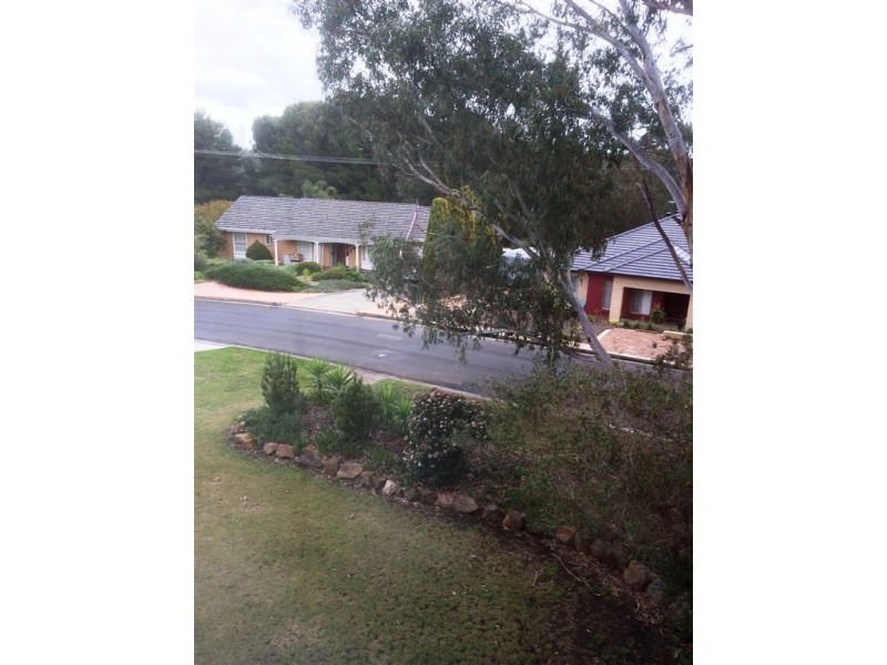 56 Ridgway Drive, Flagstaff Hill SA 5159