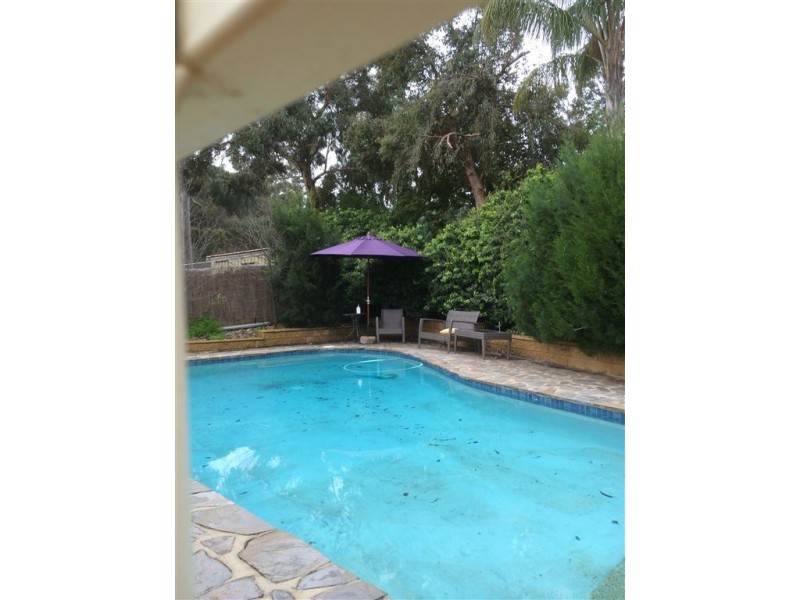 56 Ridgway Drive, Flagstaff Hill SA 5159