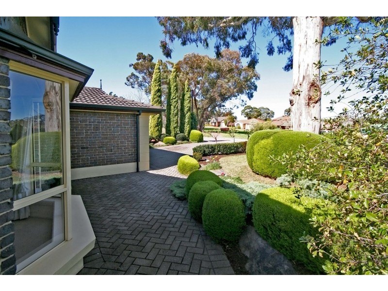 4 Lomandra Place, Flagstaff Hill SA 5159