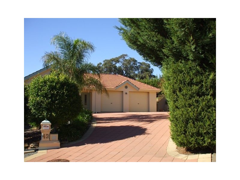43 Ironbark Avenue, Flagstaff Hill SA 5159