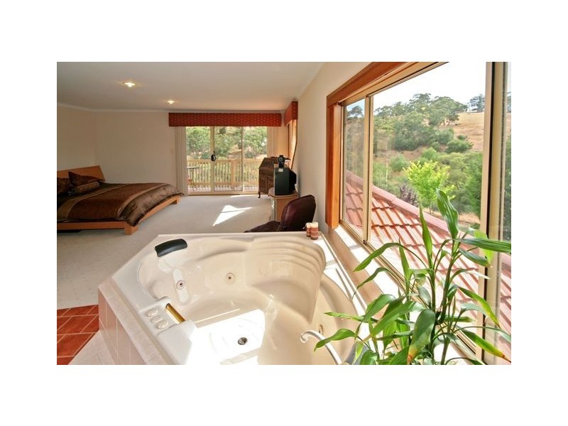 43 Ironbark Avenue, Flagstaff Hill SA 5159