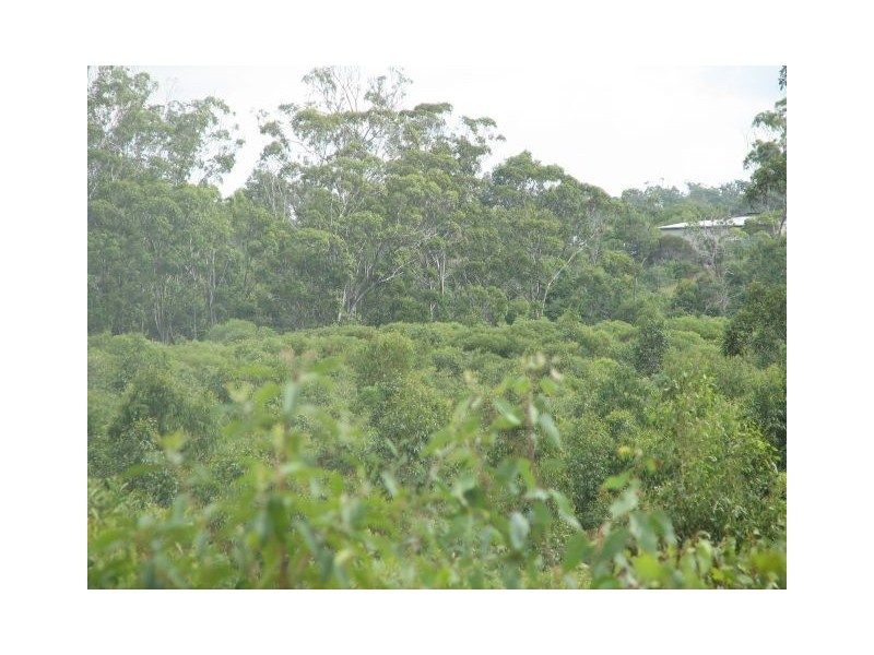 212 Cottons Road, Yeppoon QLD 4703