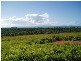 36 Miami Crescent, Yeppoon QLD 4703