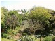 17 Meikleville Street, Meikleville Hill QLD 4703