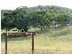 23 Olympia Avenue, Yeppoon QLD 4703