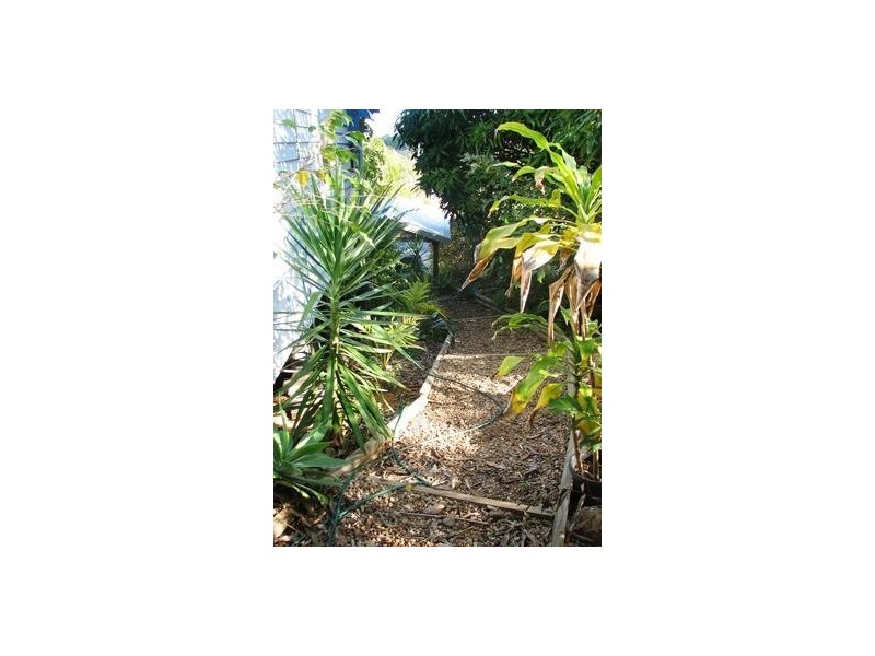 25 Whitman Street, Yeppoon QLD 4703