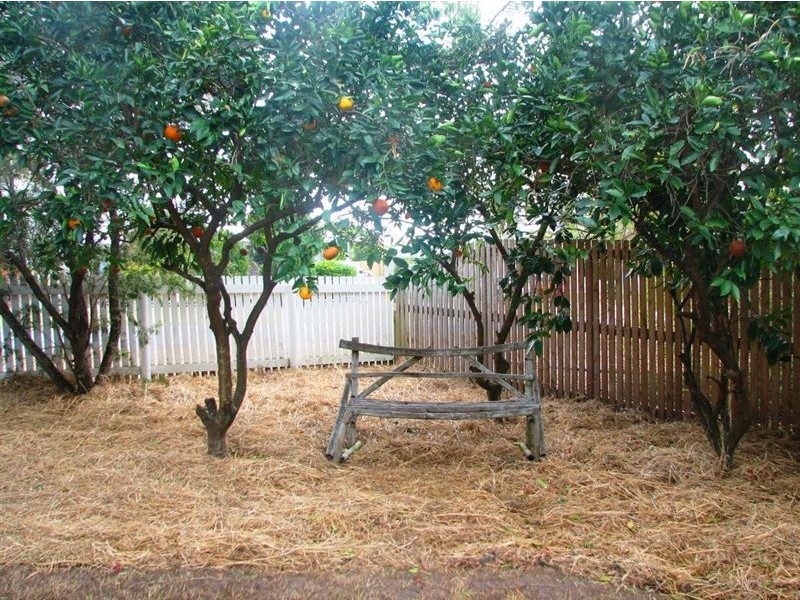 15 Georgina Drive, Yeppoon QLD 4703