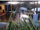 23 Rosewood Street, Yeppoon QLD 4703