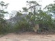 9 Cams Road, Mount Wheeler, Yeppoon QLD 4703