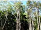 221 Yaxleys, Byfield QLD 4703