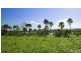 53 Lakeview Circuit, Yeppoon QLD 4703