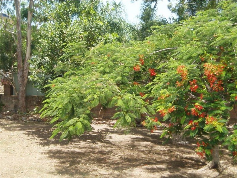 17 Mulambin Road, Yeppoon QLD 4703