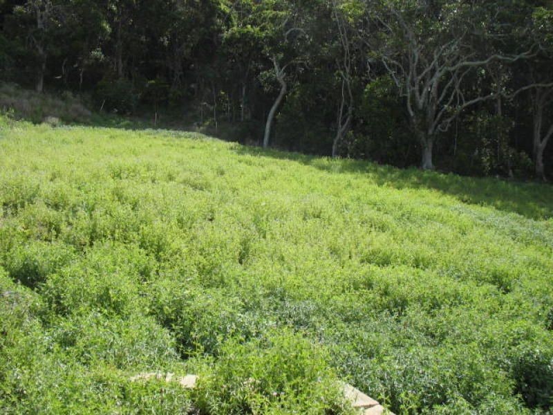 15 Gus Moore Street, Yeppoon QLD 4703