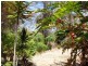32 Shaw Avenue, Yeppoon QLD 4703