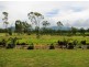221 Lake Mary Road, Yeppoon QLD 4703
