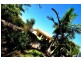 19 Forrester Way, Yeppoon QLD 4703