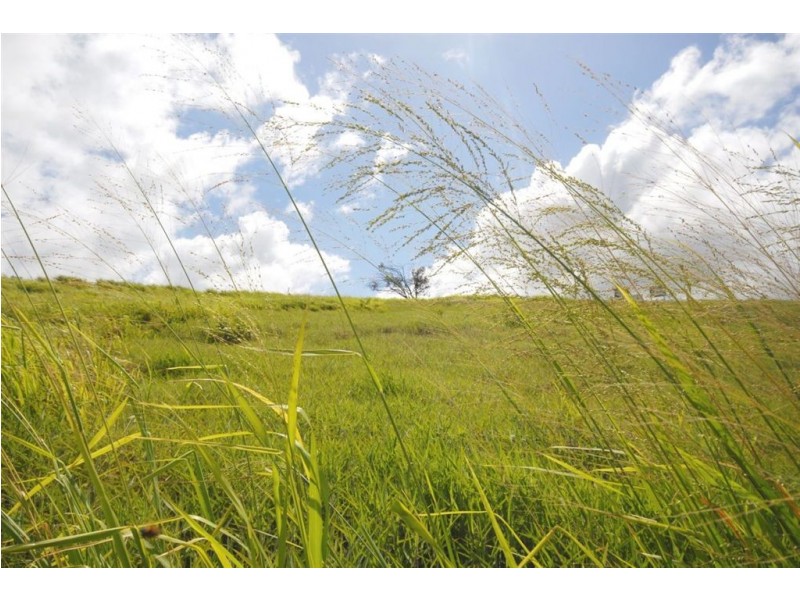 Lot 1 Cathne Street, Yeppoon QLD 4703