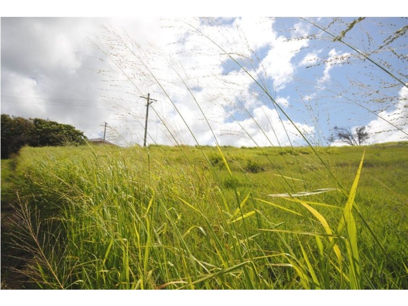 Lot 1 Cathne Street, Yeppoon QLD 4703