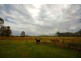 293 Stones Road, Woodbury QLD 4703