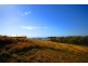 8 Cook Avenue, Pacific Heights QLD 4703