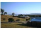 62 Cocoanut Point Drive, Zilzie QLD 4710