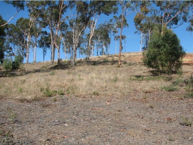 13 Brumby Drive, Kinka Beach QLD 4703