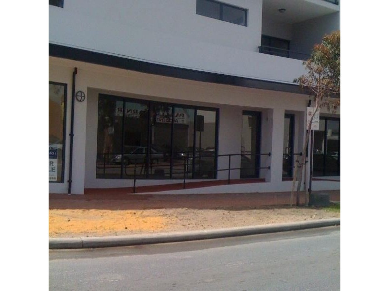 17/2 Pisconeri Street, Perth WA 6000