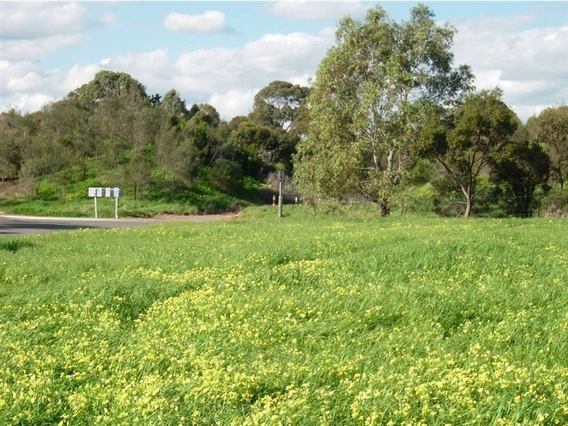 Lot 1 & 2 Columba Street, Christie Downs SA 5164