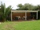 21 Wootoona Avenue, Christies Beach SA 5165