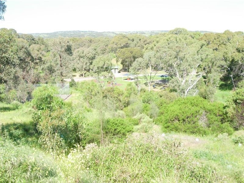 23 Timothy Road, Morphett Vale SA 5162