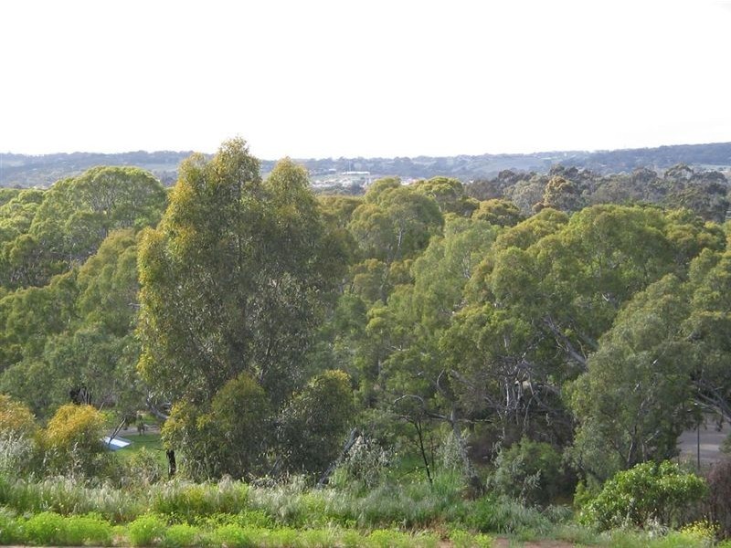 23 Timothy Road, Morphett Vale SA 5162