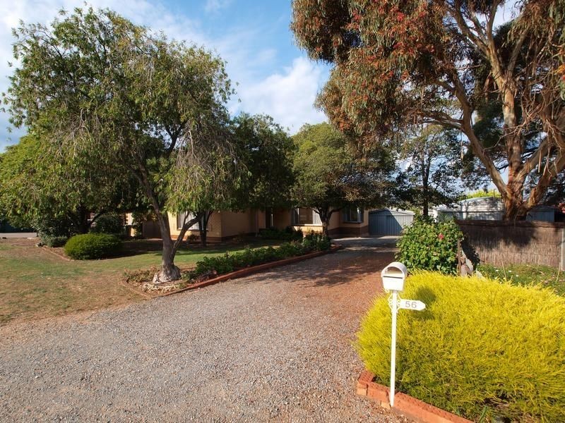 56 Acre Avenue, Morphett Vale SA 5162