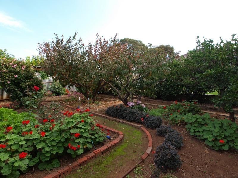 56 Acre Avenue, Morphett Vale SA 5162