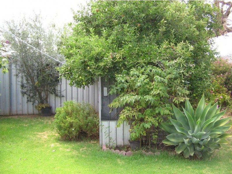 20 Cheam Drive, Reynella SA 5161