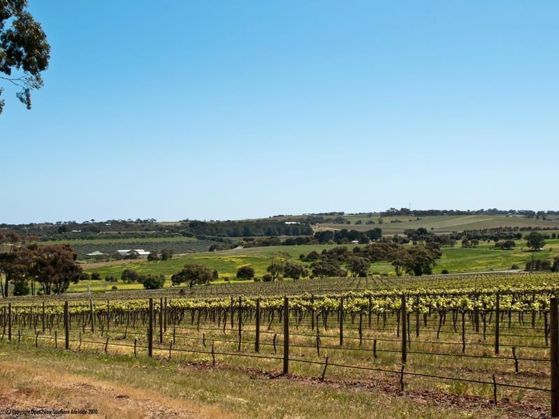 Lot 101 Olivers Road, Mclaren Vale SA 5171