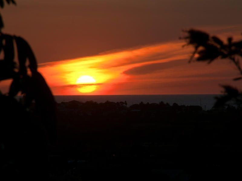 21 Peppermint Grove, Noarlunga Downs SA 5168