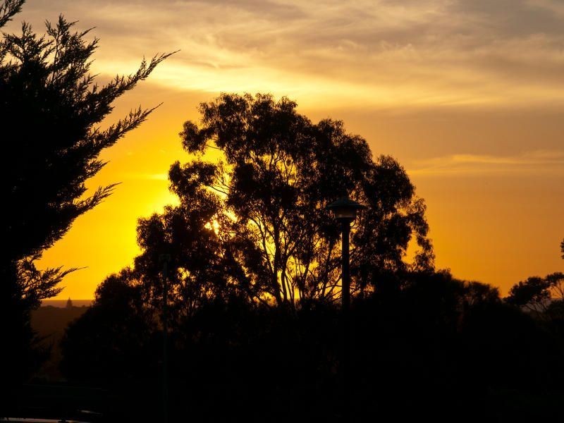 21 Peppermint Grove, Noarlunga Downs SA 5168