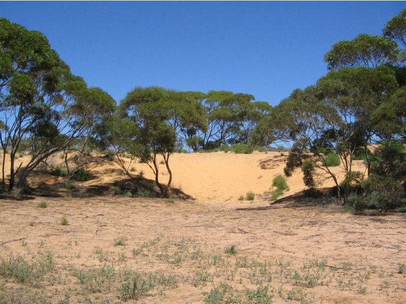 Sect 130 Loechel Road, Perponda SA 5308