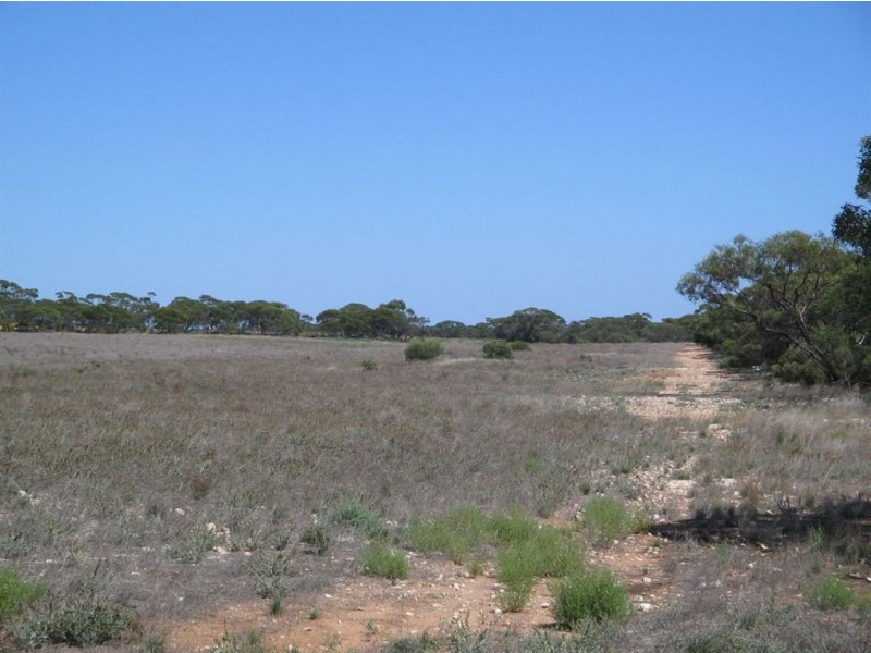 Sect 130 Loechel Road, Perponda SA 5308
