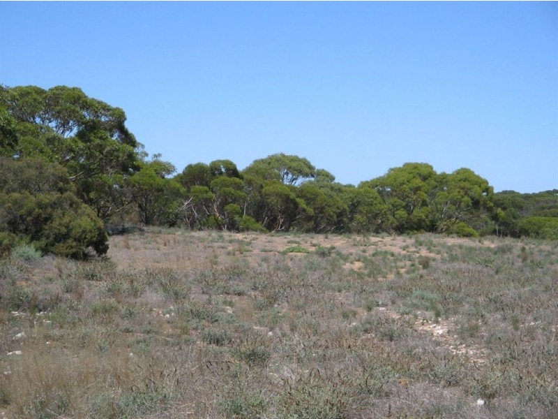 Sect 130 Loechel Road, Perponda SA 5308