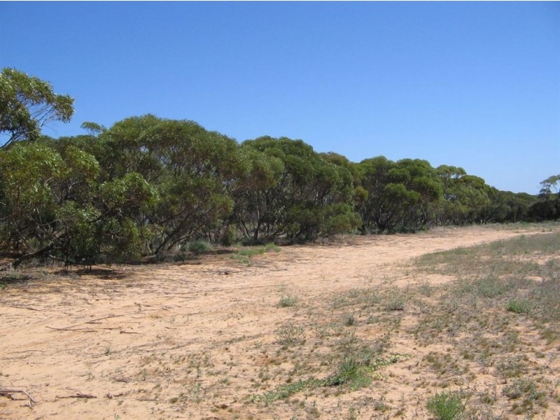 Sect 130 Loechel Road, Perponda SA 5308