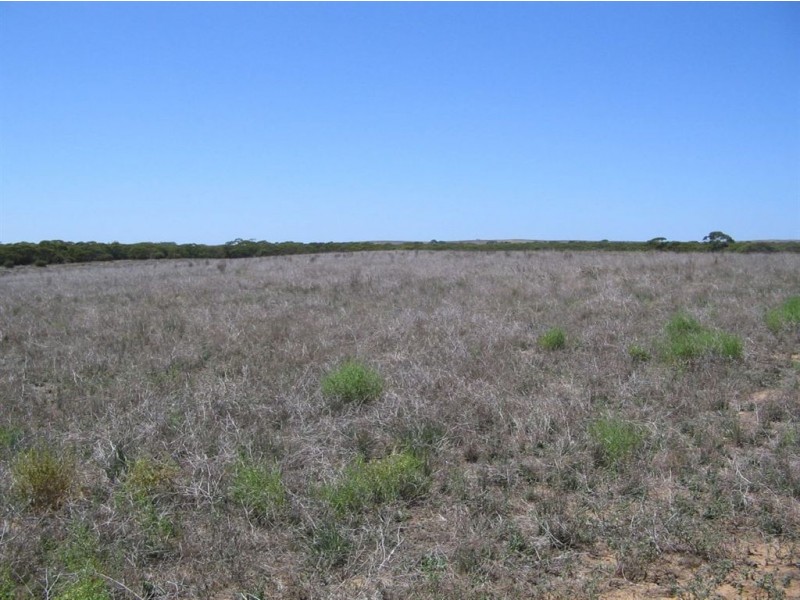 Sect 130 Loechel Road, Perponda SA 5308
