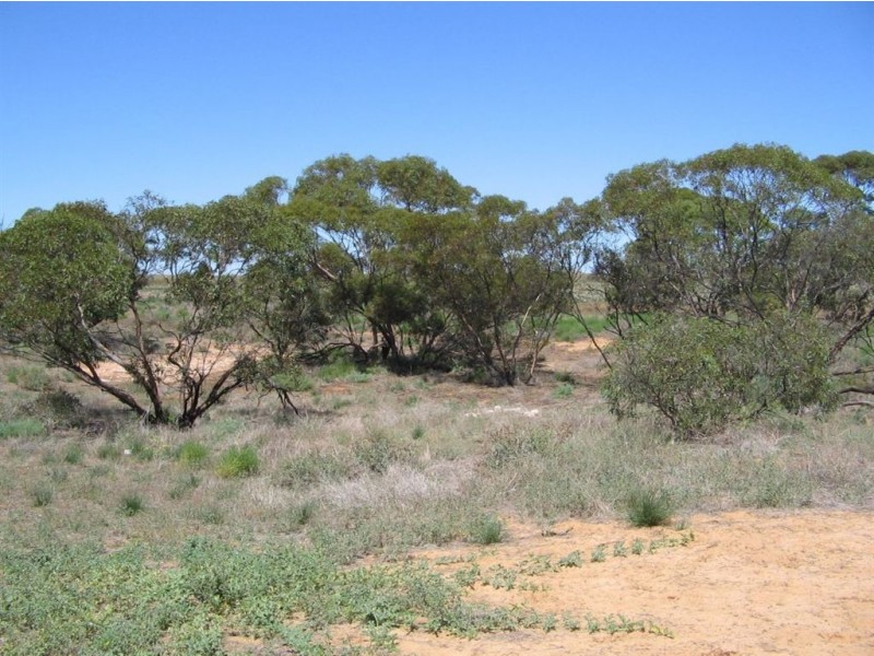 Sect 130 Loechel Road, Perponda SA 5308