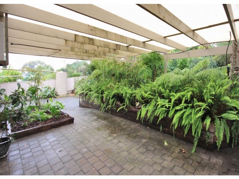 25 Pine Drive, Aberfoyle Park SA 5159