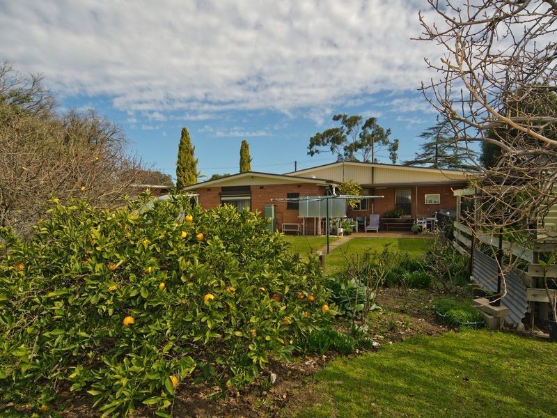 15 Naomi Terrace, Pasadena SA 5042