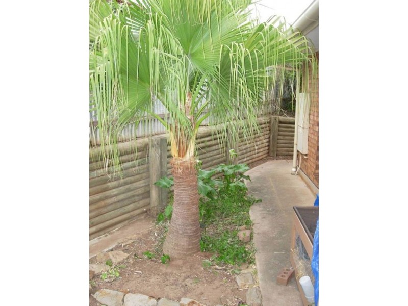 21 Melsetter Road, Huntfield Heights SA 5163