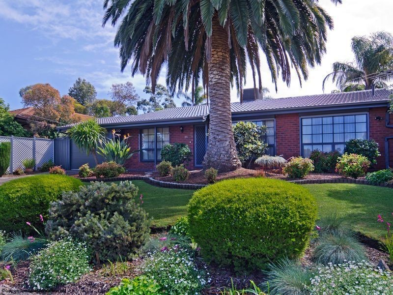 21 Cocks Avenue, Morphett Vale SA 5162