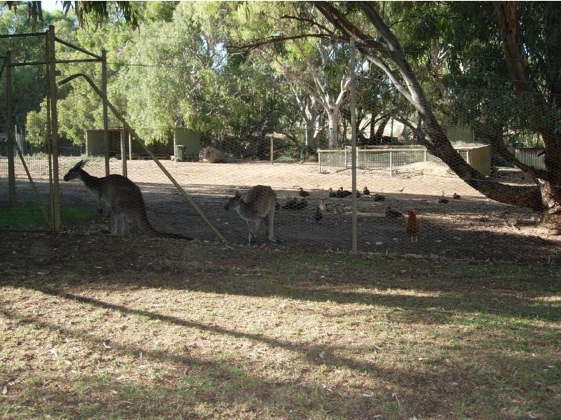 Lot 5/74 Sir James Hardy Way, Woodcroft SA 5162